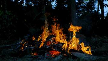 painéis de madeira queimada. uma pilha de madeira queimada no fogo. video