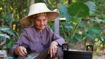 An old woman lighting a cooking fire video