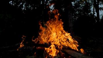 paneles de madera quemada. un montón de madera quemada en el fuego. video