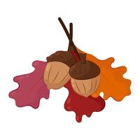 Illustration of oak twigs with leaves and acorns on a white background. Autumn composition of leaves and acorns. vector