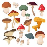 Set of vector illustrations autumn mushrooms on a white background.