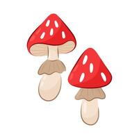 Fly agaric mushrooms in flat style. Vector illustration of poisonous mushrooms on a white background.