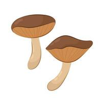 Vector illustration of mushrooms in flat style on a white background.