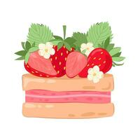 Sponge cake with pink cream and ripe red strawberries. vector