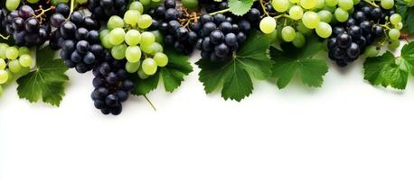 Green and Black juicy grapes on white background photo