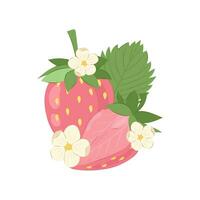 Ripe pink strawberries with flowers on a white background. Pink strawberry vector illustration in flat style.