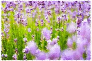 Abstract Impressionism Nature Landscape Digital Painting photo