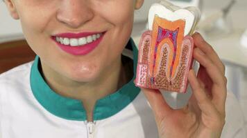 Female dentist smiling holding tooth model to the camera video