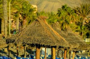 thatched umbrellas line the beach at a resort photo