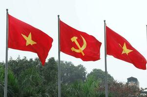 vietnam comunista fiesta bandera foto