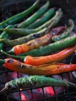 local Thai northern style cooking chili sauce and grilled chili in stone mortar photo