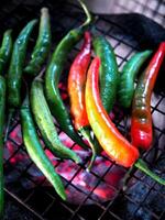 local Thai northern style cooking chili sauce and grilled chili in stone mortar photo