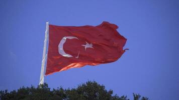 turc drapeau visible par le des arbres. video