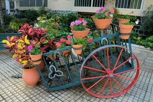 a cart with potted flowers on it photo