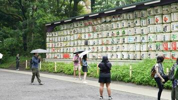 tokyo , Japan - mei 29 , 2023 rijstwijn vaten Bij de meiji jingu altaar in shibuya, Tokio, video