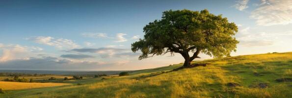 Landscape view of one big tree on the top of the hill with green grass on a hillside with blue sky and clouds in the background. Generative Ai photo