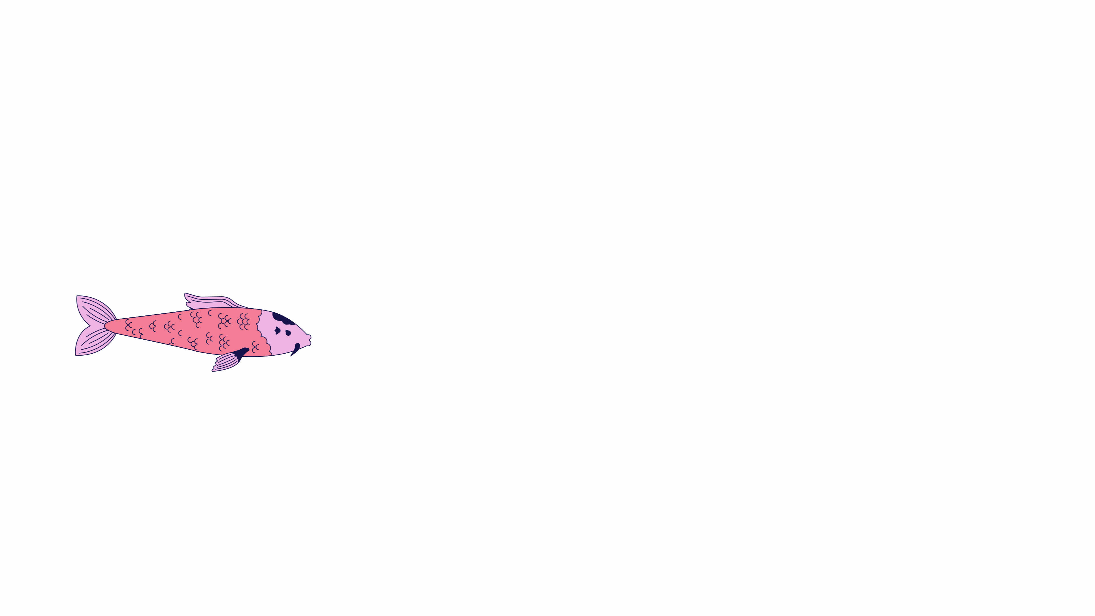 Japanese carp amur swimming line 2D character animation. Oriental fish ...