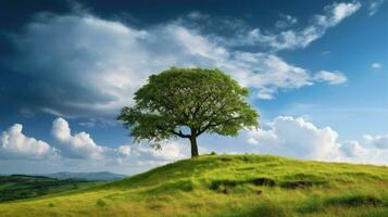 Landscape view of one big tree on the top of the hill with green grass on a hillside with blue sky and clouds in the background. Generative Ai photo