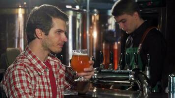 contento joven hombre disfrutando descansando a el pub, bebiendo delicioso cerveza video