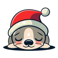 graphic seal decoration for christmas photo