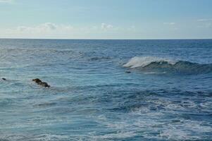 summer landscape with beach and ocean on the canary island  spain photo