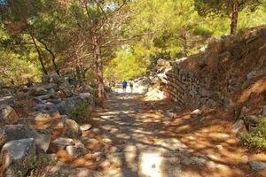 old ruins of the ancient temple of Athena in Priene in Turkey on a hot summer day photo