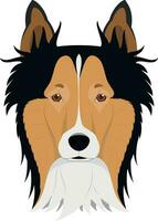 collie áspero perro aislado en blanco antecedentes vector ilustración