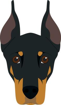 Doberman dog isolated on white background vector illustration