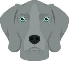 Weimaraner perro aislado en blanco antecedentes vector ilustración