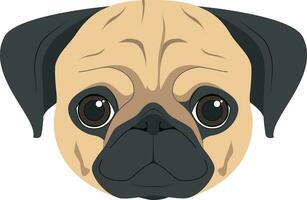 Pug dog isolated on white background vector illustration