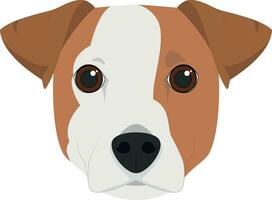 Jack Russell perro aislado en blanco antecedentes vector ilustración