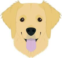 Golden Retriever dog isolated on white background vector illustration