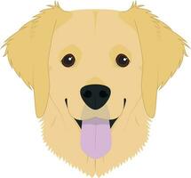 Golden Retriever dog isolated on white background vector illustration