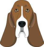 Basset Hound dog isolated on white background vector illustration