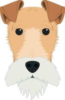Fox Terrier dog isolated on white background vector illustration