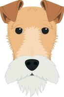 Fox Terrier dog isolated on white background vector illustration