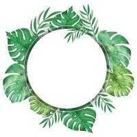 circulo monstera marco vector