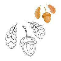 Acorn and oak leaves on a white background sketch for coloring and illustration. Autumn print, vector