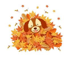 Cute funny dog in a pile of autumn leaves. Children's illustration, print, vector