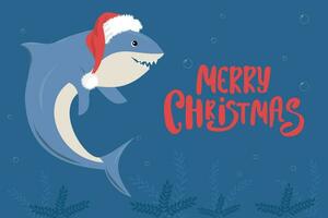 linda tiburón vistiendo Papa Noel claus sombrero vector