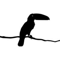 Toucans are Neotropical members of the near passerine bird family Ramphastidae. The Ramphastidae are most closely related to the American barbets, Bird Silhouette. Vector Illustration