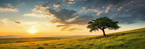 Landscape view of one big tree on the top of the hill with green grass on a hillside with blue sky and clouds in the background. Generative Ai photo