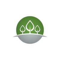 Cedar tree Logo template vector