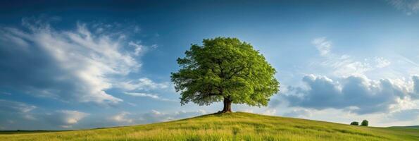 Landscape view of one big tree on the top of the hill with green grass on a hillside with blue sky and clouds in the background. Generative Ai photo