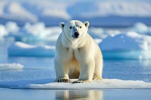 Polar bear Ursus maritimus on the pack ice, north of Svalbard Arctic Norway, A whimsical image of a stranded polar bear, stranded on a barren island. The bear stands surrounded by, AI Generated photo