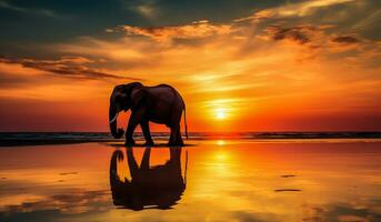 hermosa imagen de elefante en el puesta de sol en el playa. ai generado foto