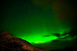 Northern lights in the skies in Norway photo