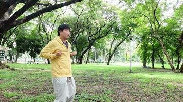 une homme pratiquant aile chun le premier former. formation des exercices de aile chun dans le jardin. video