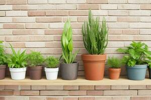 Shelves with different combinations of plants and pots. background. AI Generative Pro Photo