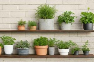 Shelves with different combinations of plants and pots. background. AI Generative Pro Photo